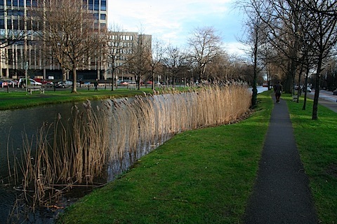 200802111549.jpg