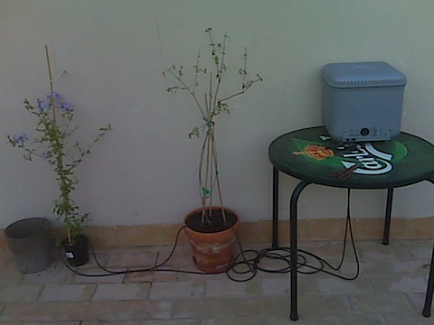 IMG00174.jpg