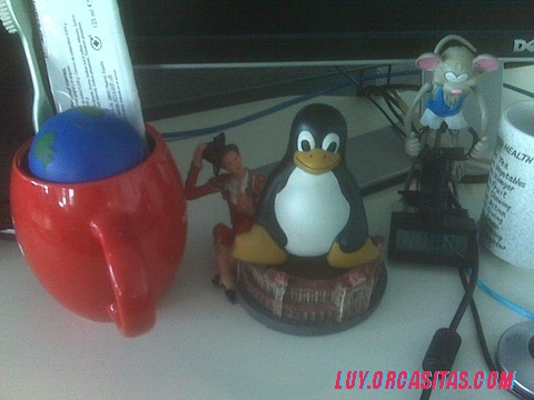 IMG00013.jpg