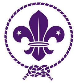 scout_flor_lis.jpg
