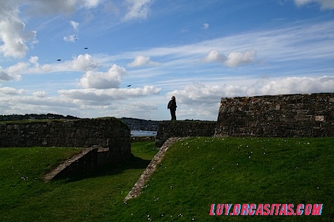 IMG_2274.JPG