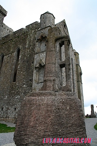 IMG_2341.JPG