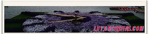header_10.jpg