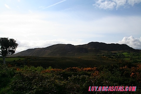IMG_2510.JPG