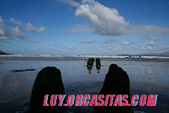 IMG_2522.JPG