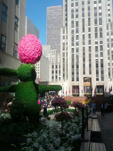 IMG_20120414_091832.jpg IMG 20120414 091832