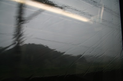 IMG_3116.JPG IMG 3116