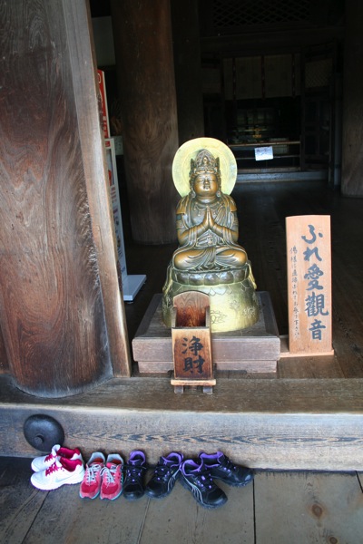 IMG_3642.JPG IMG 3642