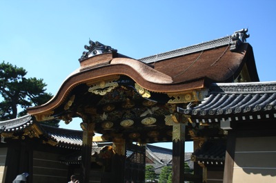 IMG_3685.JPG IMG 3685