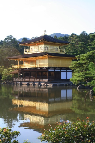 IMG_3728.JPG IMG 3728