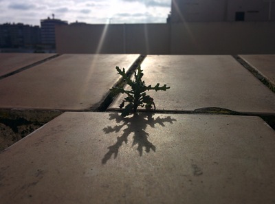 IMG_20141228_105258.jpg IMG 20141228 105258