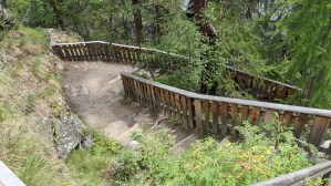 PXL_20210816_123621411.jpg PXL 20210816 123621411