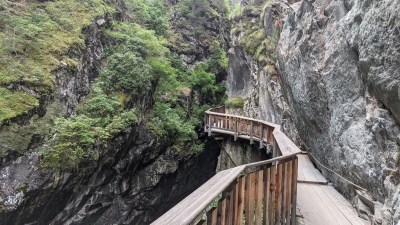 PXL_20210816_124445609.jpg PXL 20210816 124445609