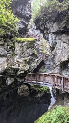 PXL 20210816 125101788