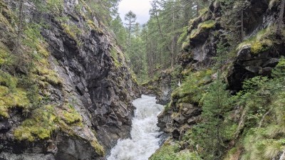 PXL_20210816_130034207.MP.jpg PXL 20210816 130034207 MP