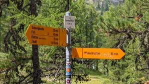 PXL_20210816_131010460.jpg PXL 20210816 131010460